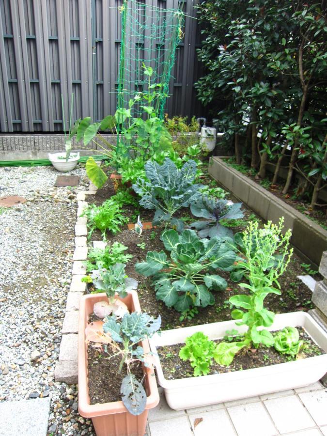 Kyo-No-Sato 京の里 Apartment Kyoto Exterior photo